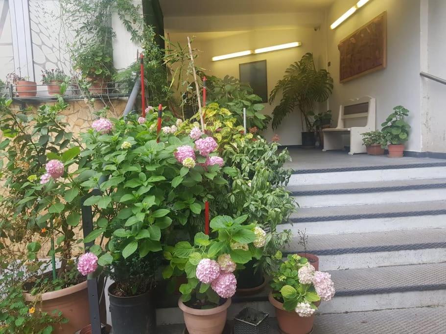 Apartmán Pazari_Ri_Studio Tirana Exteriér fotografie
