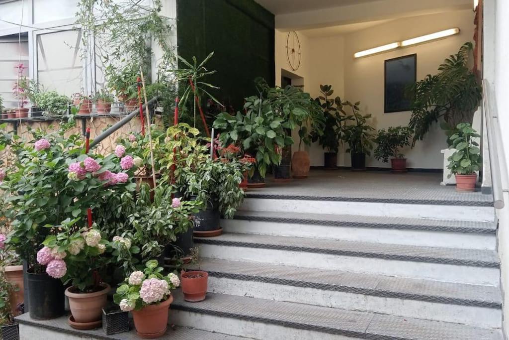 Apartmán Pazari_Ri_Studio Tirana Exteriér fotografie